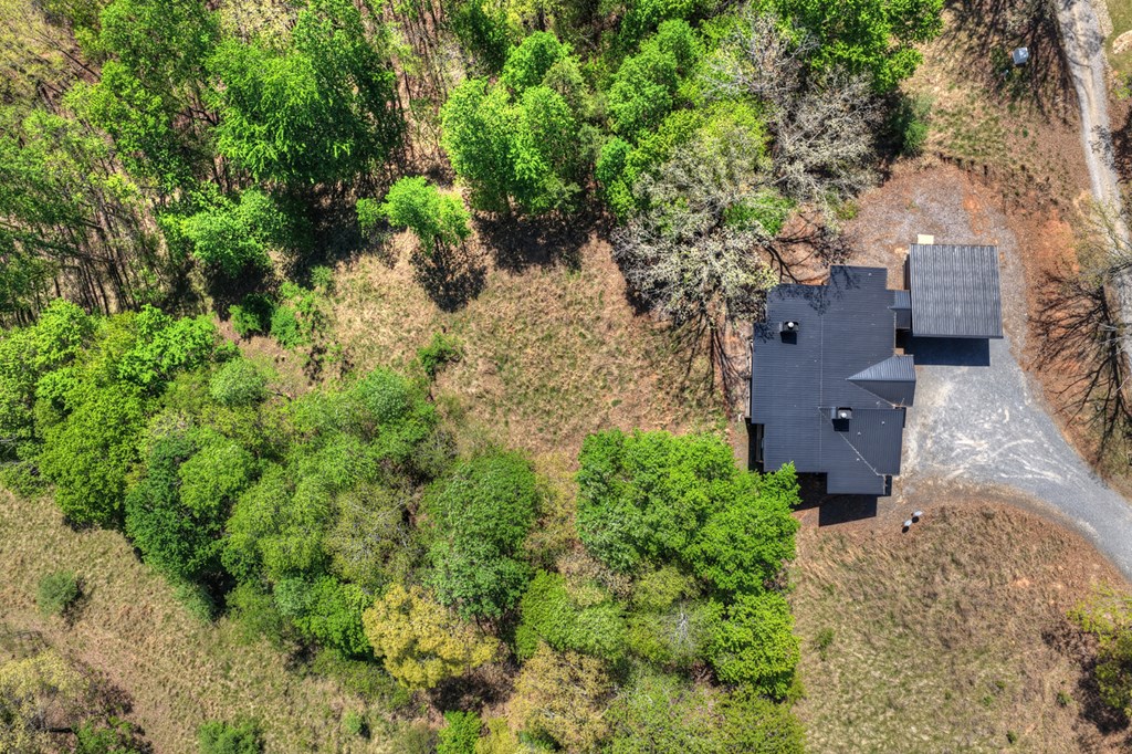 315 Blue Berry Ridge Property Photo 59