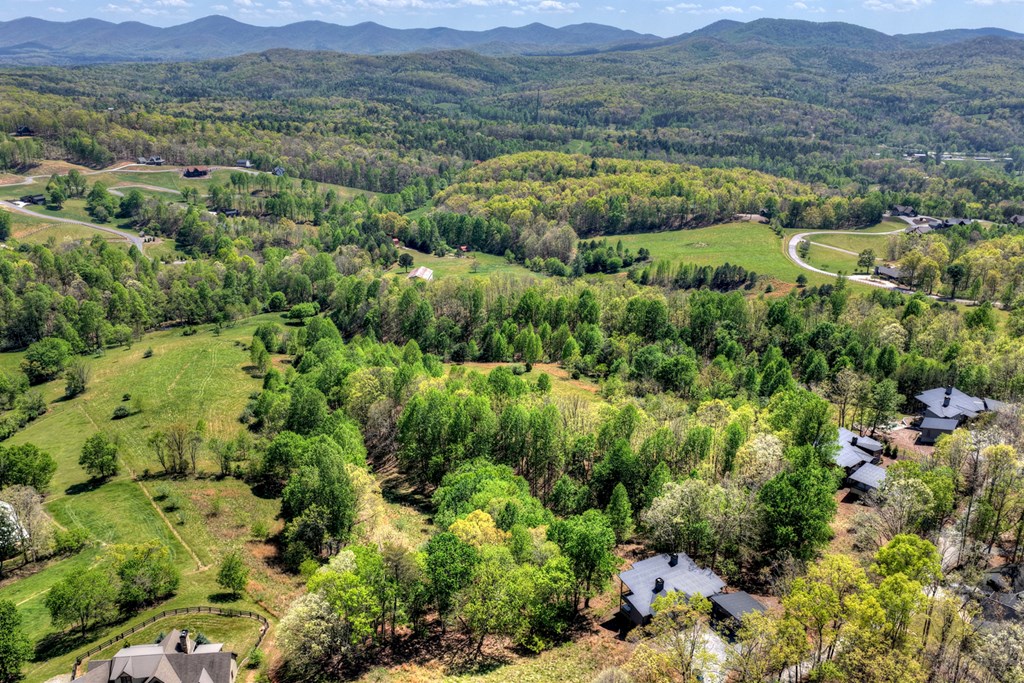 315 Blue Berry Ridge Property Photo 60