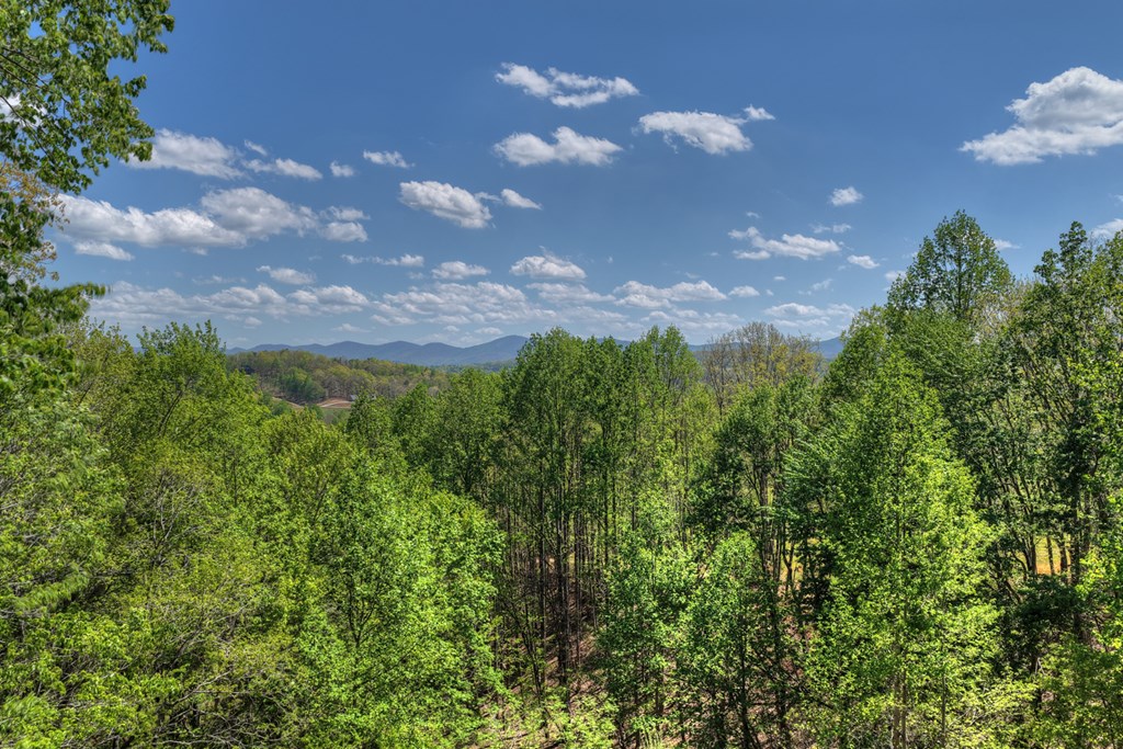 315 Blue Berry Ridge Property Photo 61