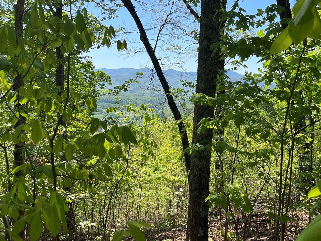 Lot 11J Ash Branch View Property Photo 1