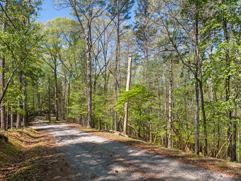 Lot 560 Chattle Way Property Photo 3