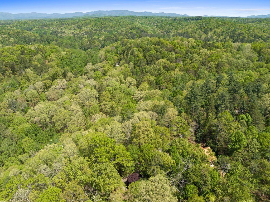 Lot 560 Chattle Way Property Photo 7