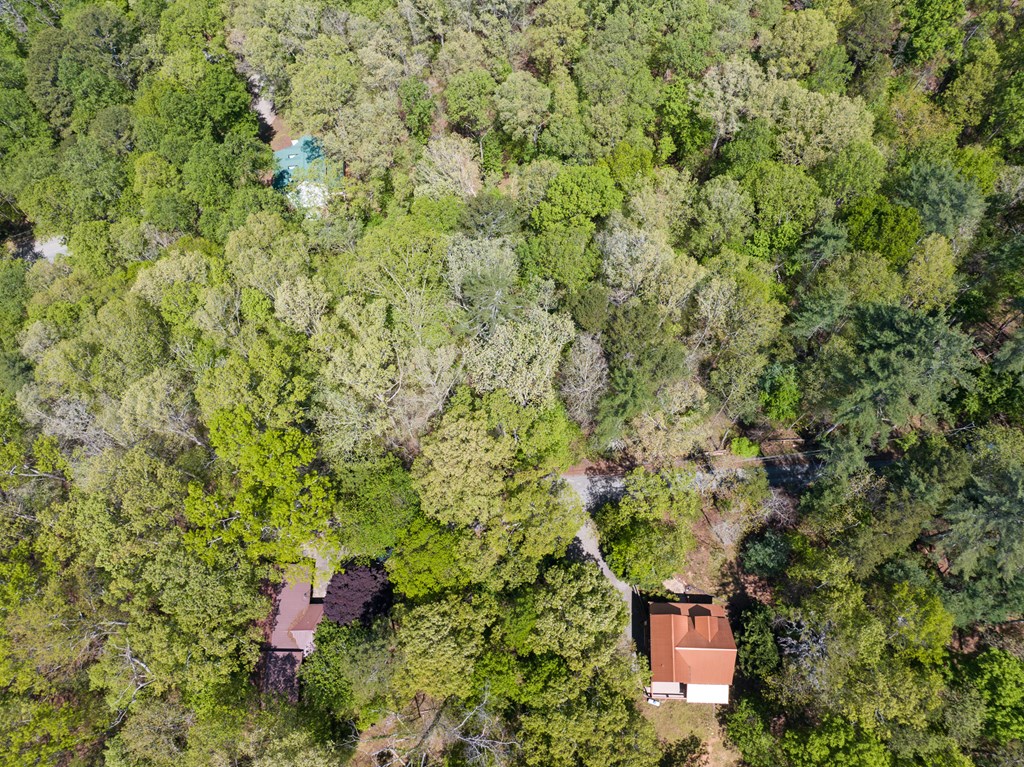 Lot 560 Chattle Way Property Photo 8