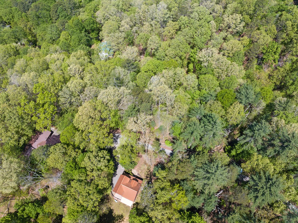 Lot 560 Chattle Way Property Photo 10
