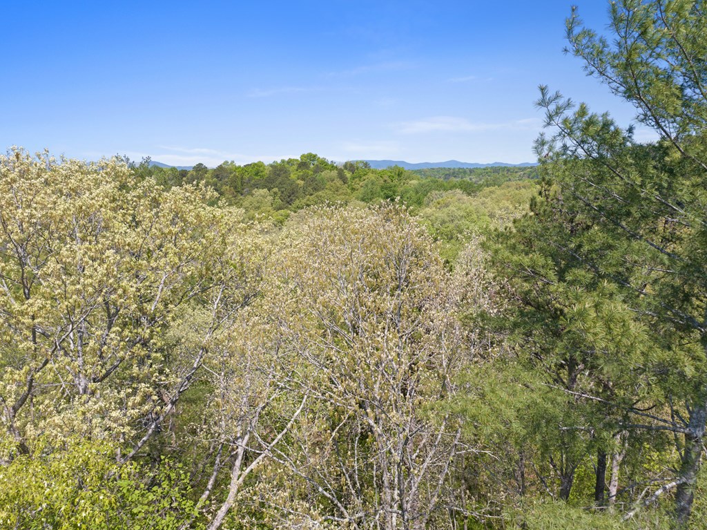 Lot 560 Chattle Way Property Photo 11