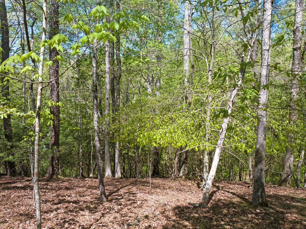 Lot 560 Chattle Way Property Photo 12