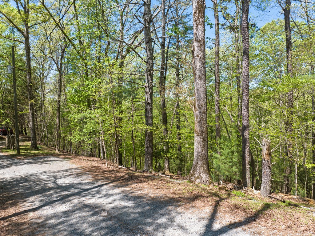 Lot 560 Chattle Way Property Photo 13