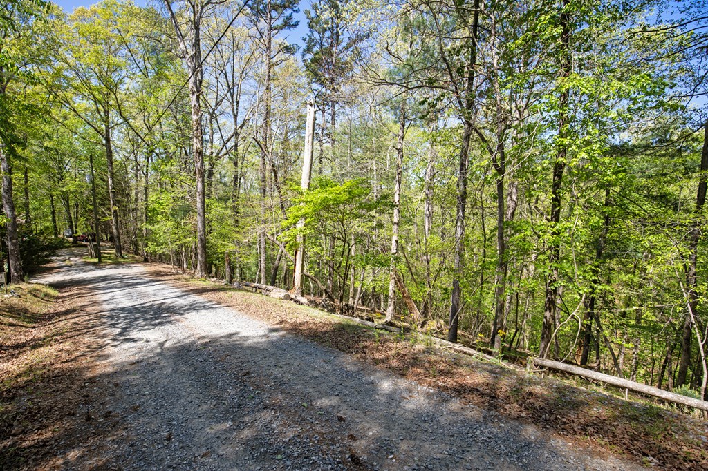 Lot 560 Chattle Way Property Photo 14