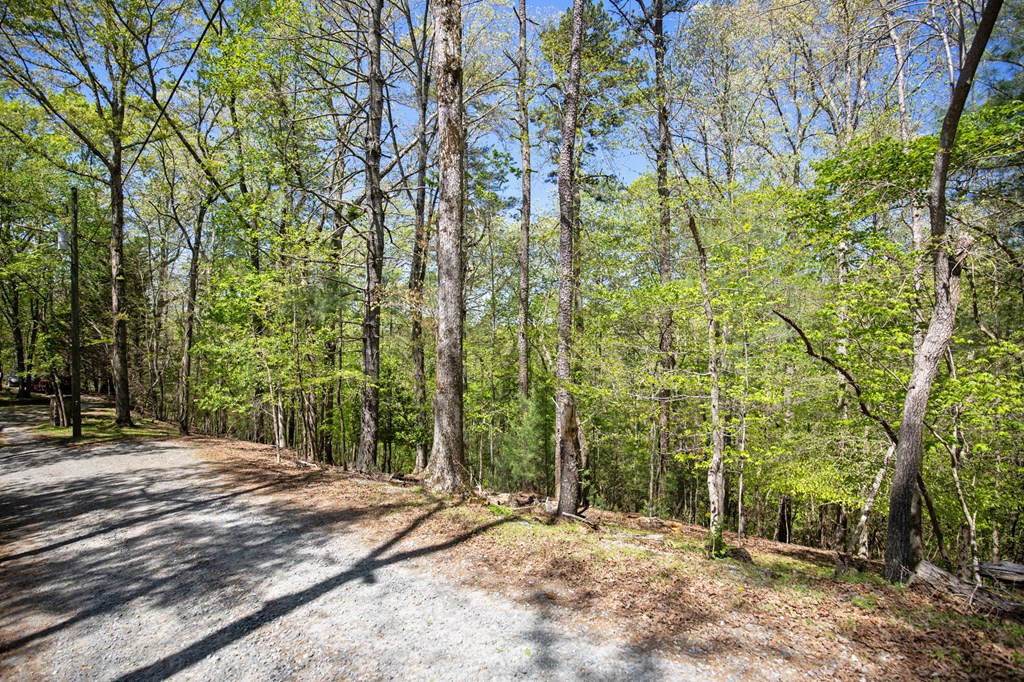 Lot 560 Chattle Way Property Photo 15