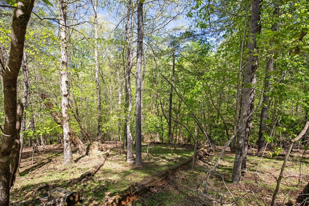 Lot 560 Chattle Way Property Photo 17