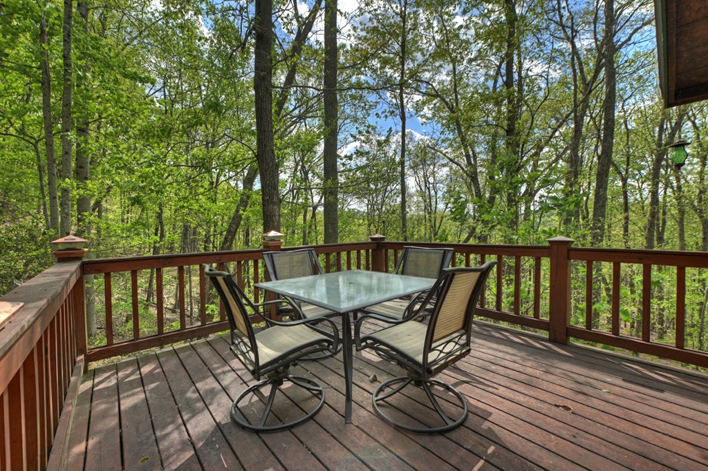 660 Ripshin Mountain Road Property Photo 21