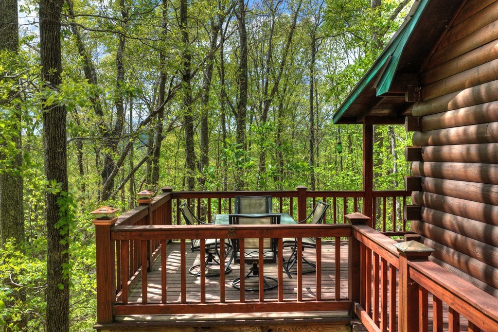 660 Ripshin Mountain Road Property Photo 22