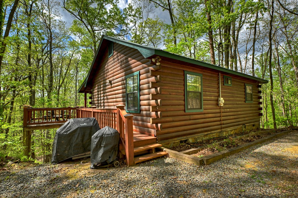 660 Ripshin Mountain Road Property Photo 26