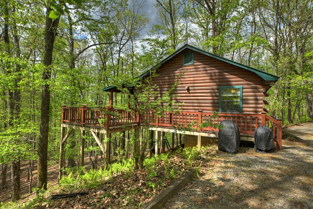 660 Ripshin Mountain Road Property Photo 27