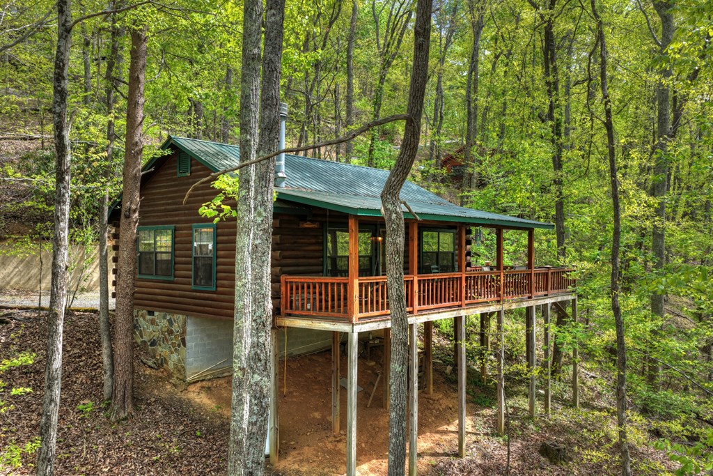 660 Ripshin Mountain Road Property Photo 30
