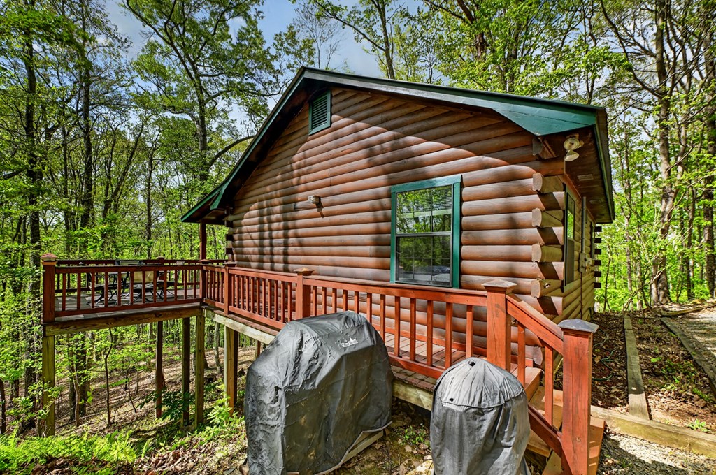660 Ripshin Mountain Road Property Photo 31