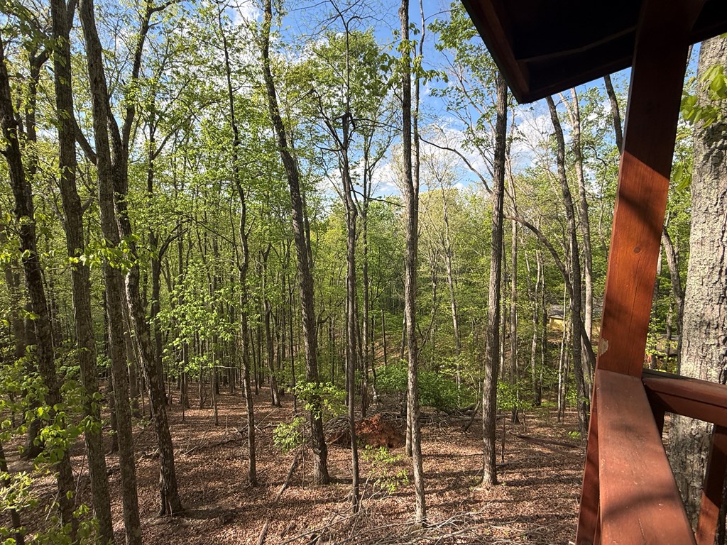 660 Ripshin Mountain Road Property Photo 41