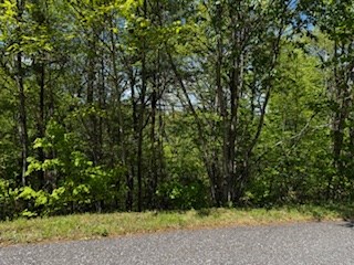 Lot 68 Bowers Road Property Photo 10