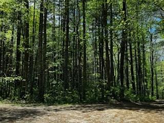 Lot 68 Bowers Road Property Photo 15