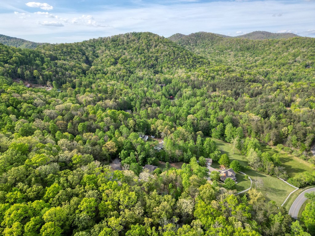 78 Bells Hollow-trackro Property Photo 62