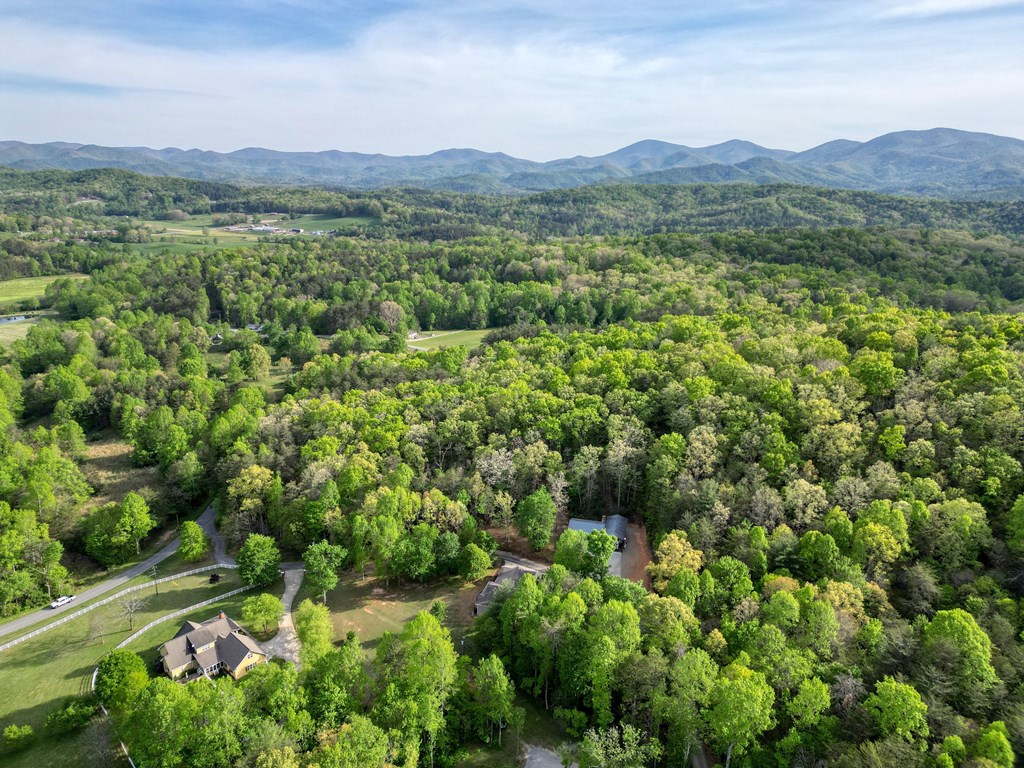 78 Bells Hollow-trackro Property Photo 64