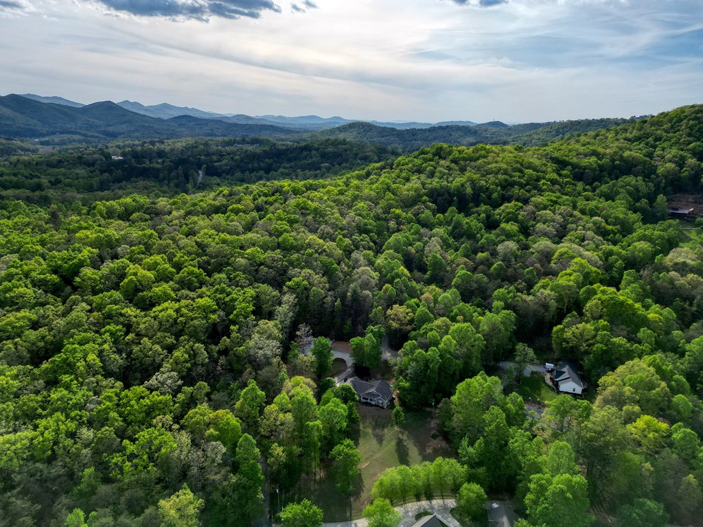 78 Bells Hollow-trackro Property Photo 65