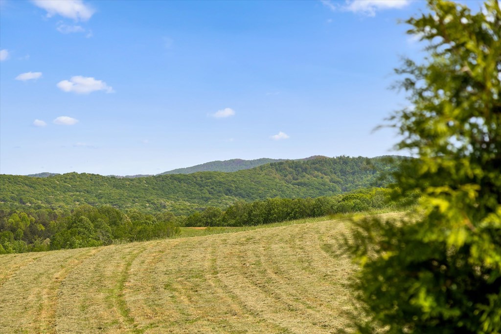 Lot 2 Bravo Way Property Photo 19