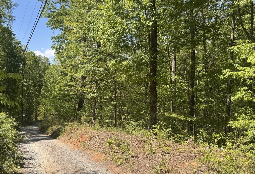 2.42 AC Poplar Drive N Property Photo 1