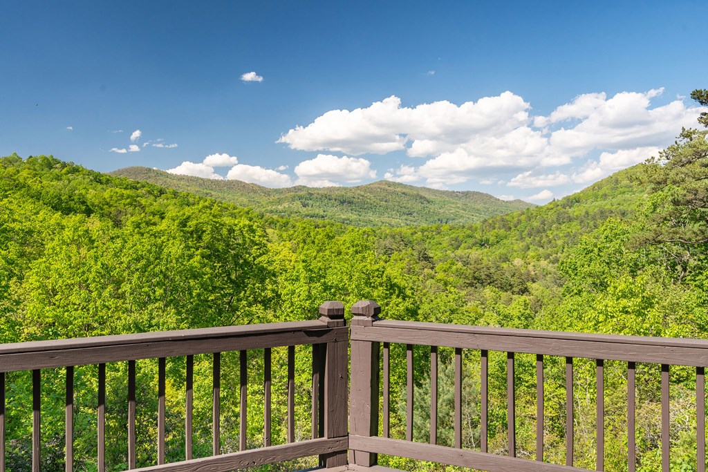 410 Falling Springs Property Photo 7
