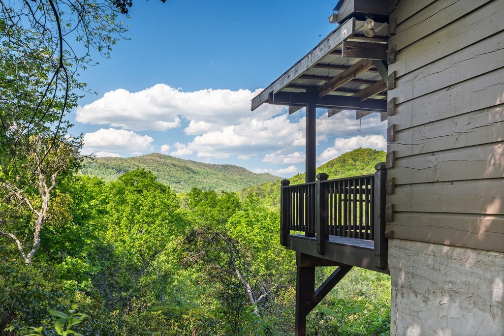 410 Falling Springs Property Photo 50