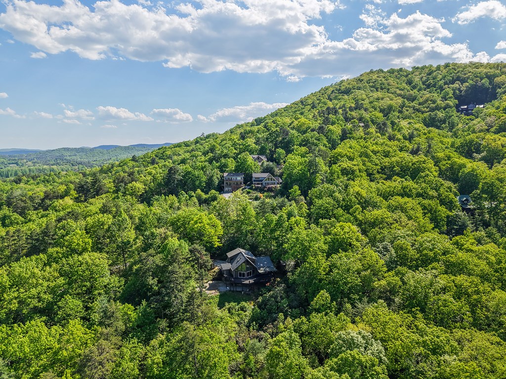 410 Falling Springs Property Photo 52