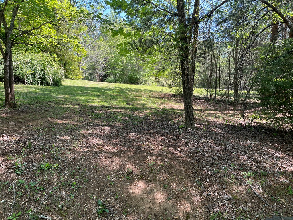 Lot 71a Licklog Ridge Property Photo 2