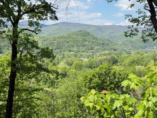 Lot 43 Silo View Property Photo 1