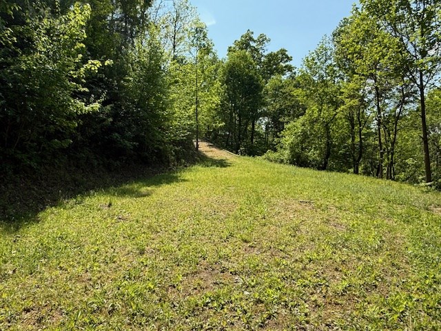 Lot 43 Silo View Property Photo 2