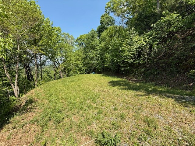 Lot 43 Silo View Property Photo 4