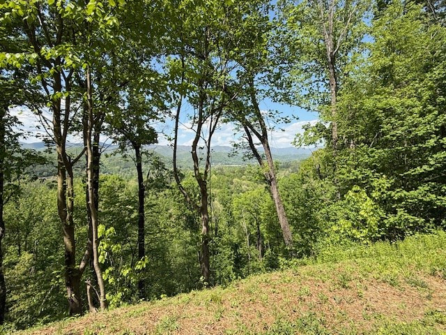 Lot 43 Silo View Property Photo 5