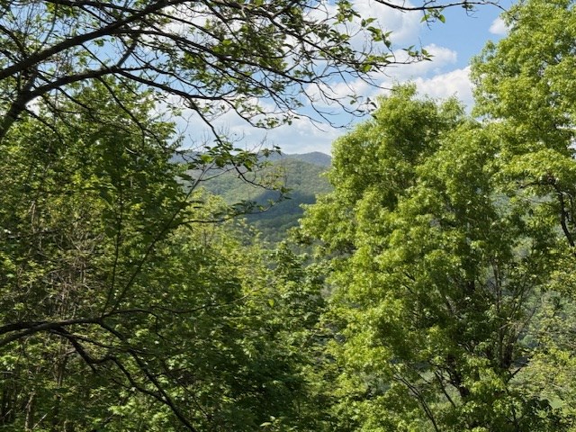 Lot 43 Silo View Property Photo 6