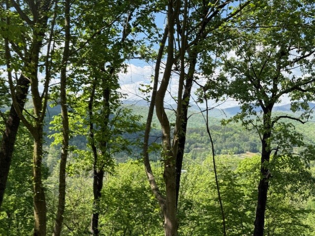 Lot 43 Silo View Property Photo 7
