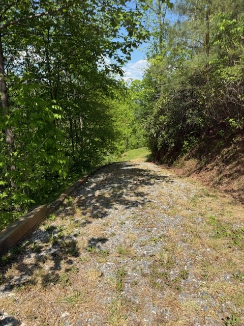 Lot 43 Silo View Property Photo 9