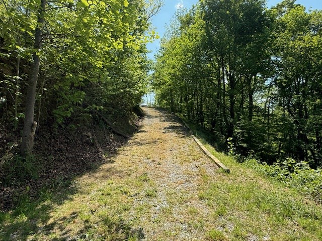Lot 43 Silo View Property Photo 10