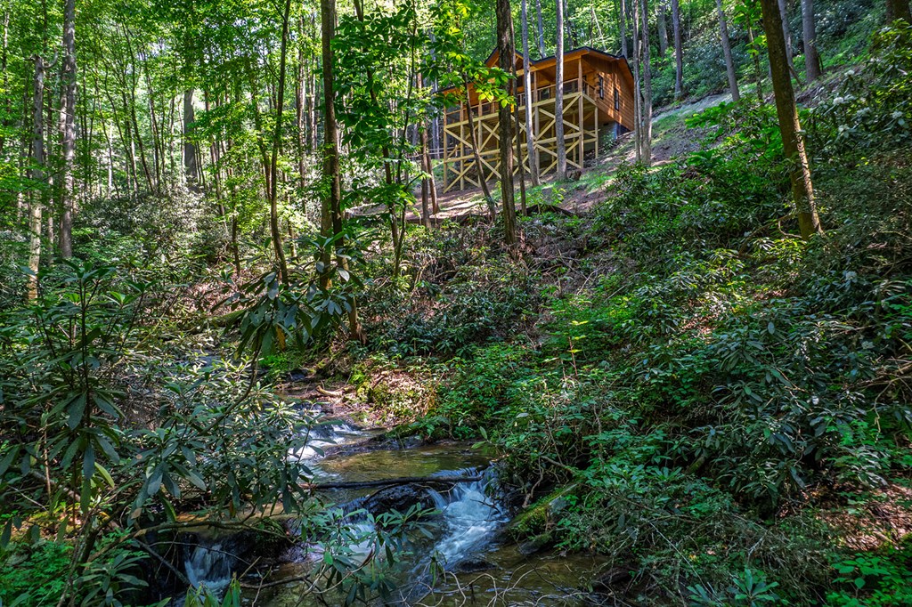 122 Laurel Creek Trail Property Photo 13