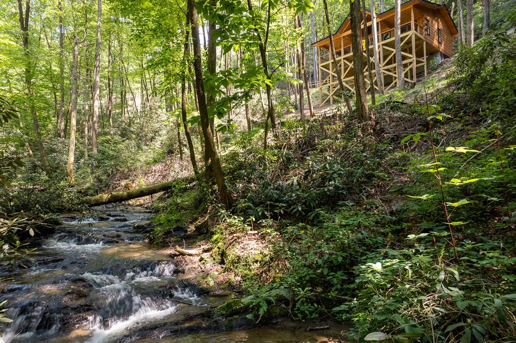 122 Laurel Creek Trail Property Photo 15