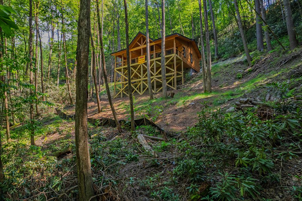 122 Laurel Creek Trail Property Photo 19