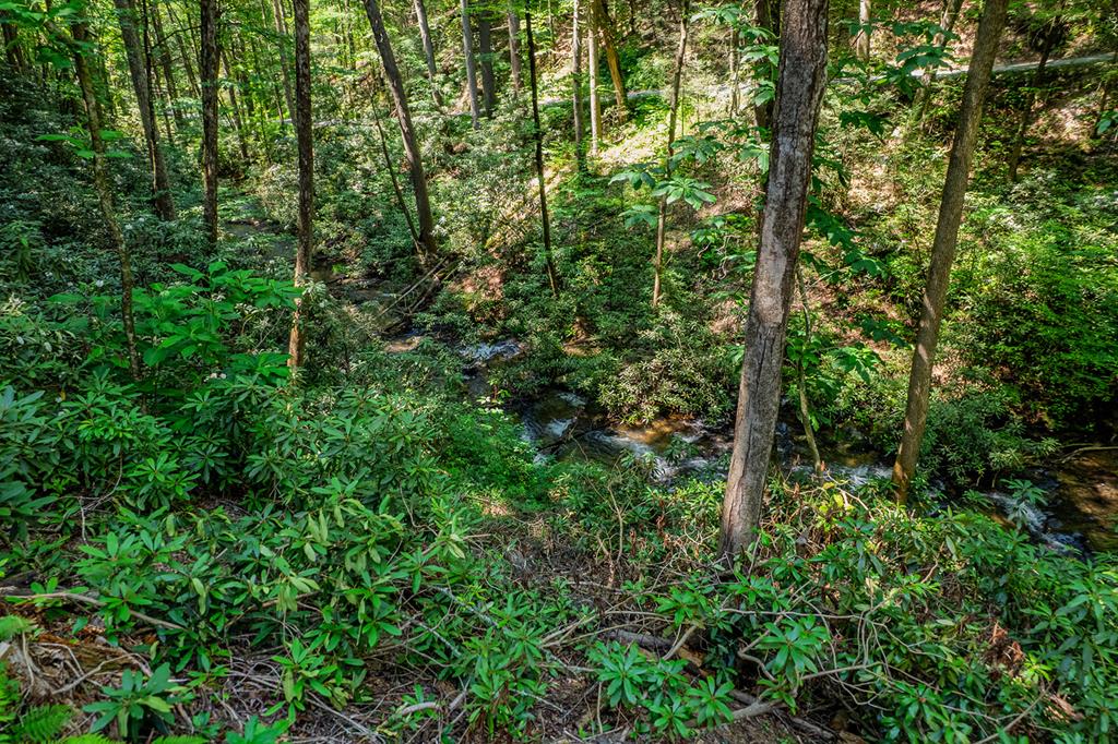122 Laurel Creek Trail Property Photo 20