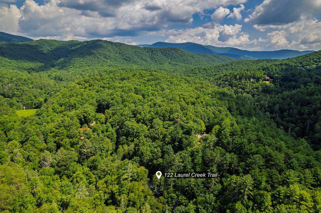 122 Laurel Creek Trail Property Photo 23