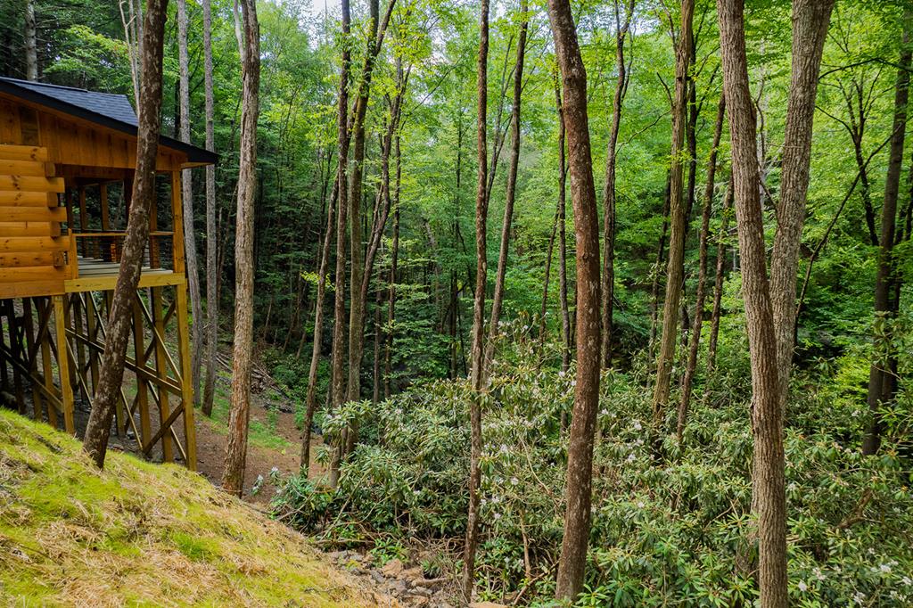 122 Laurel Creek Trail Property Photo 24
