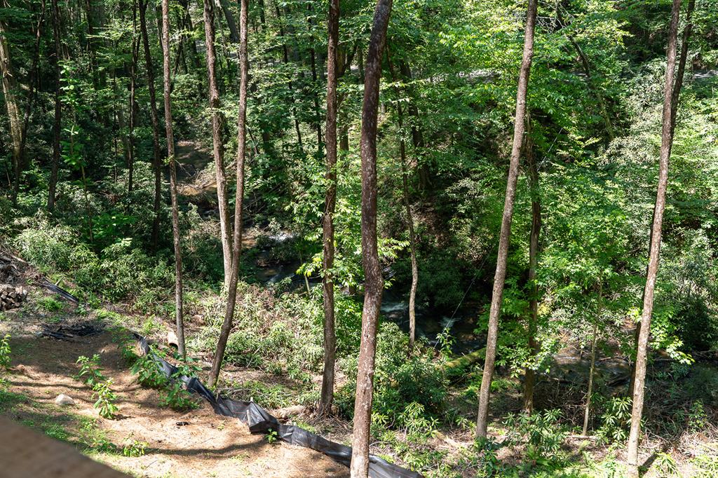 122 Laurel Creek Trail Property Photo 38