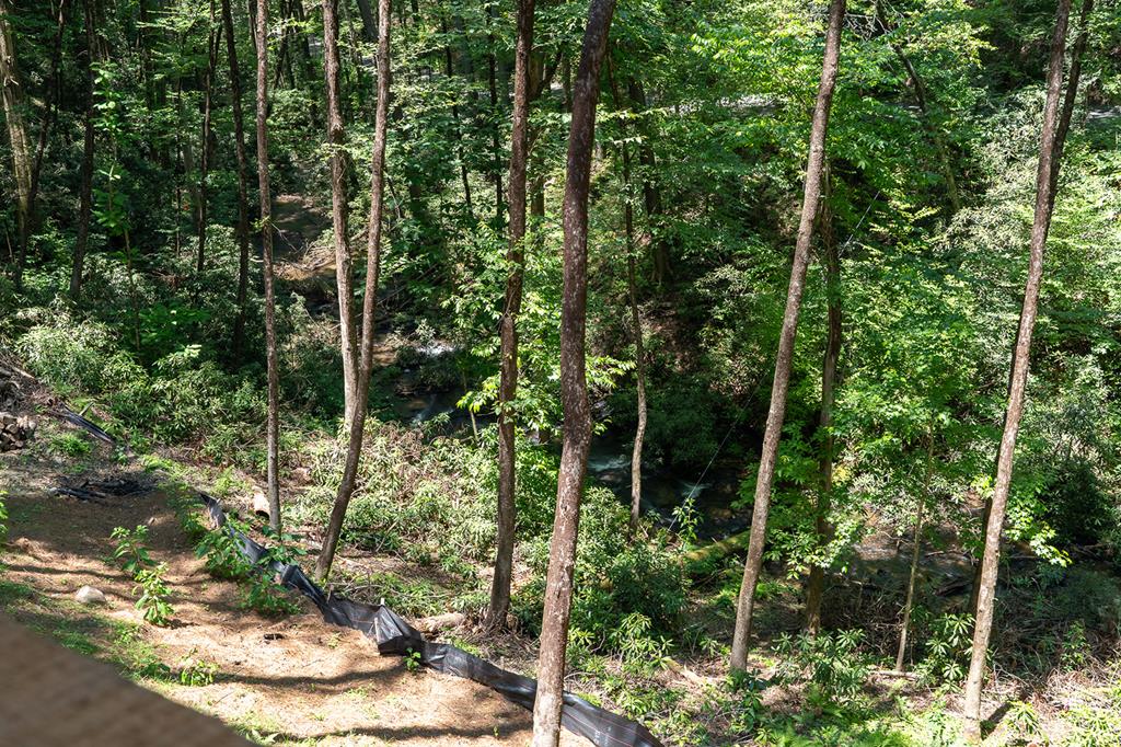 122 Laurel Creek Trail Property Photo 39