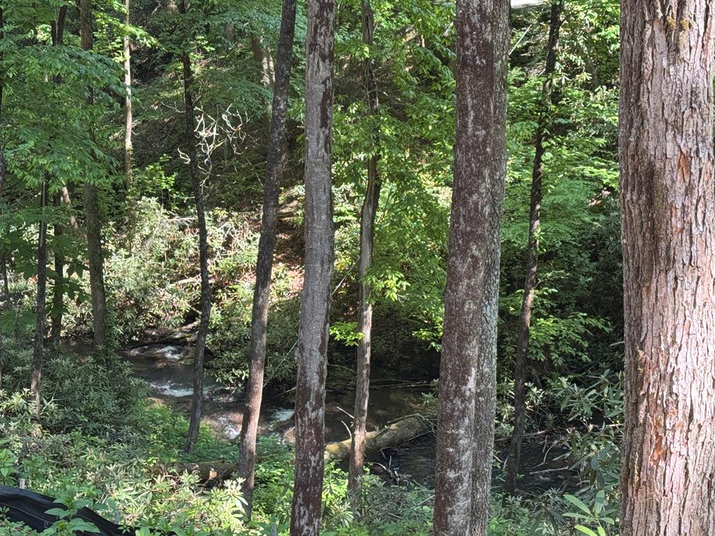 122 Laurel Creek Trail Property Photo 46