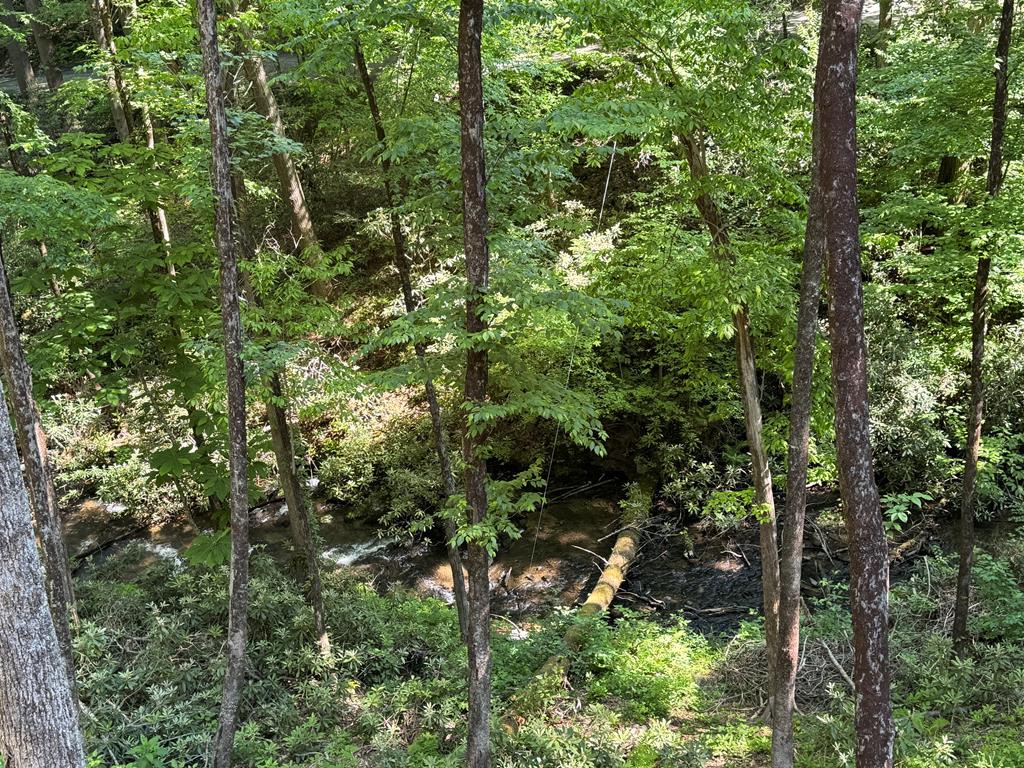 122 Laurel Creek Trail Property Photo 48